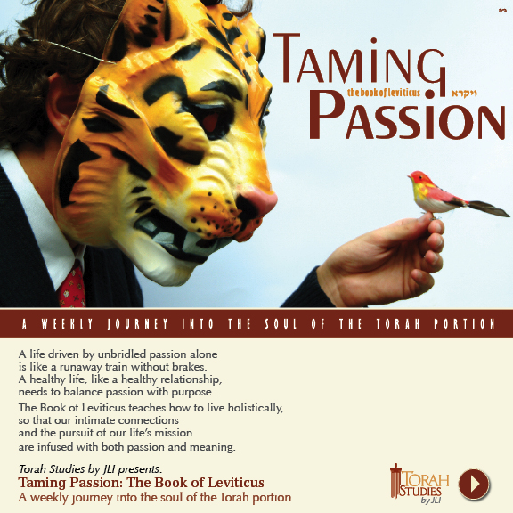 taming passion.jpg